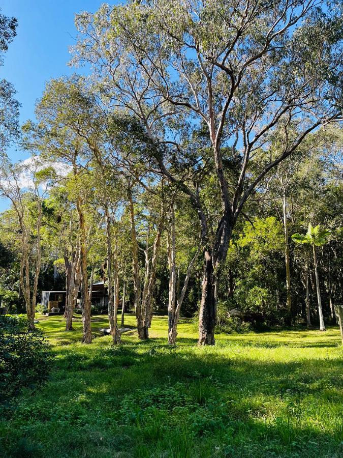 Coastal Bush Gateway Nr South West Rock Beach Arakoon Exterior foto